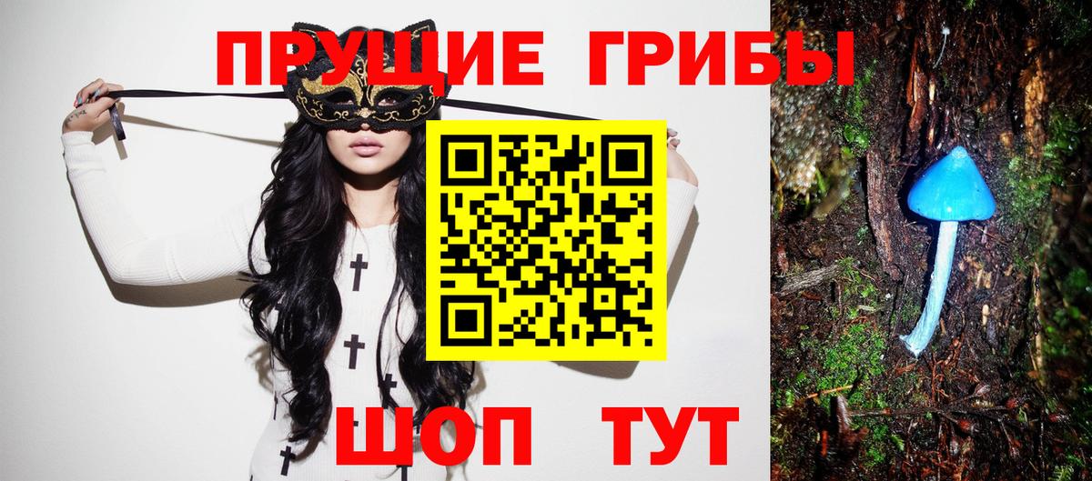 Псилоцибиновые грибы Psilocybine cubensis Малоярославец